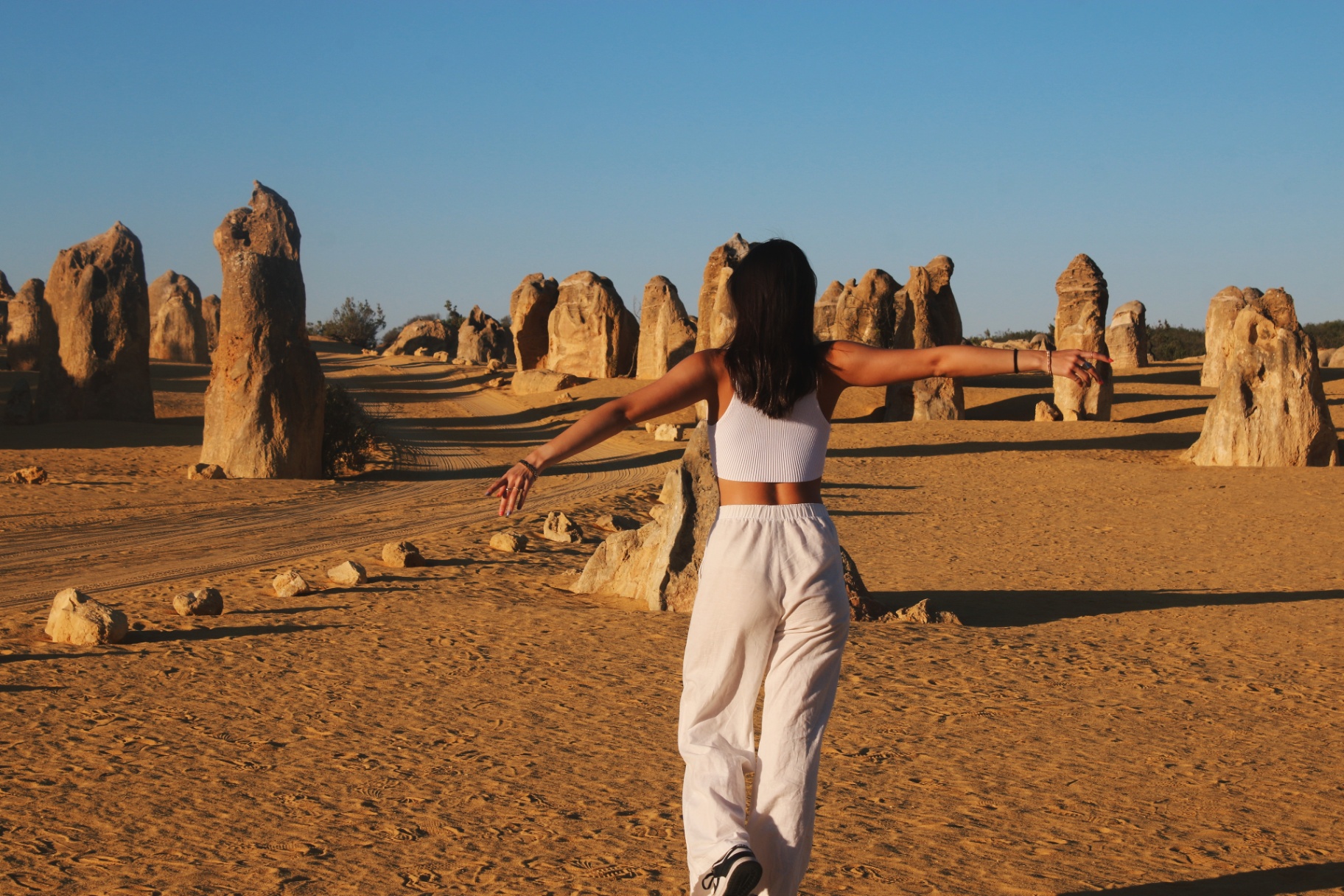 Guest among the Pinnacles