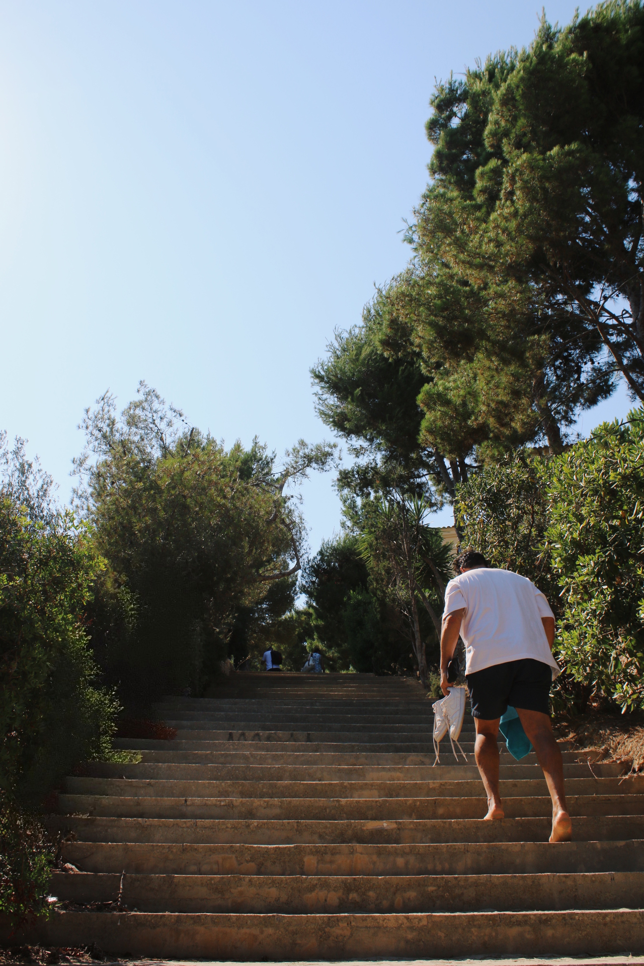 Shaded stone staircase running the full way down from the property through the pines toward the cove
