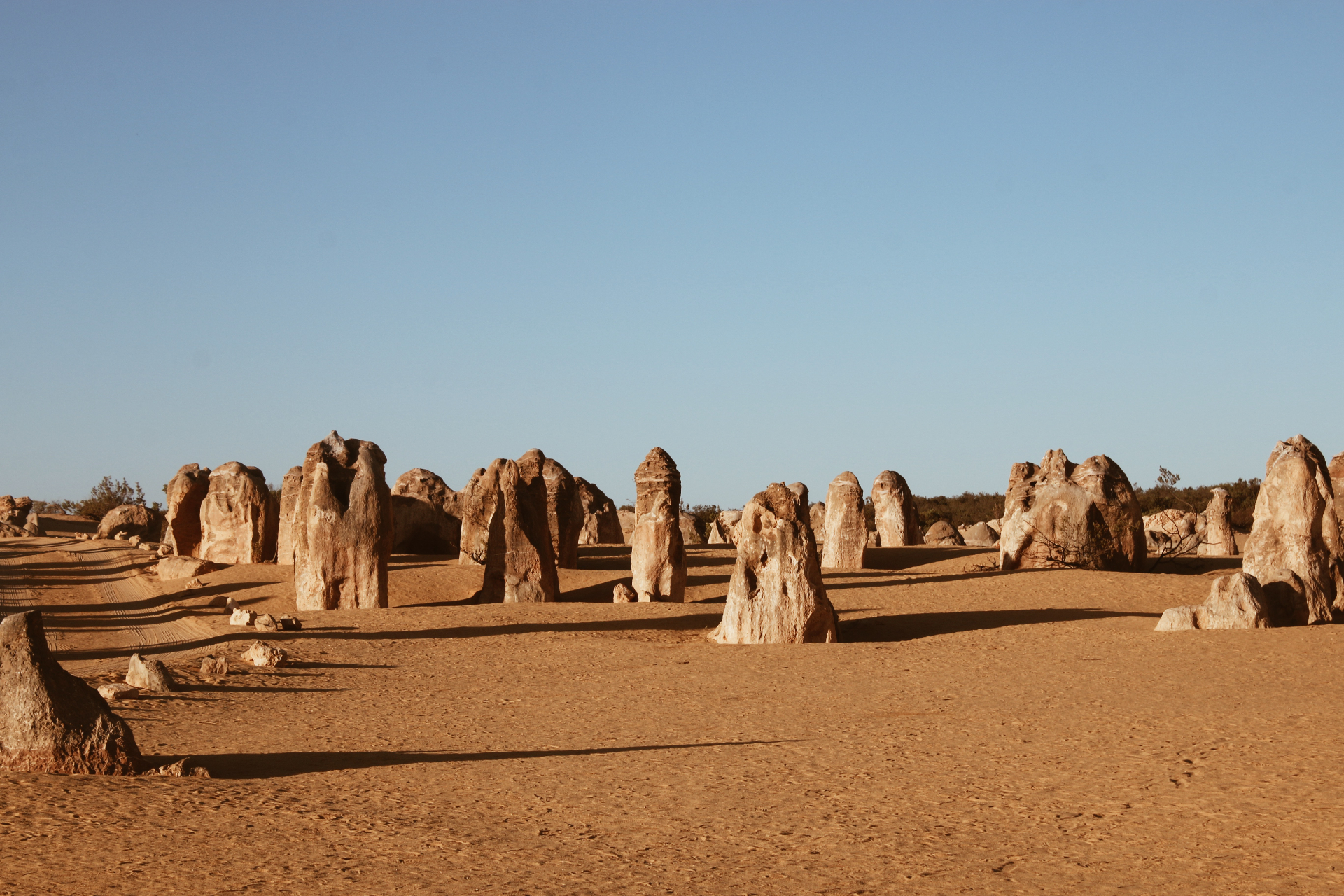 The Pinnacles desert landscape in Western Australia