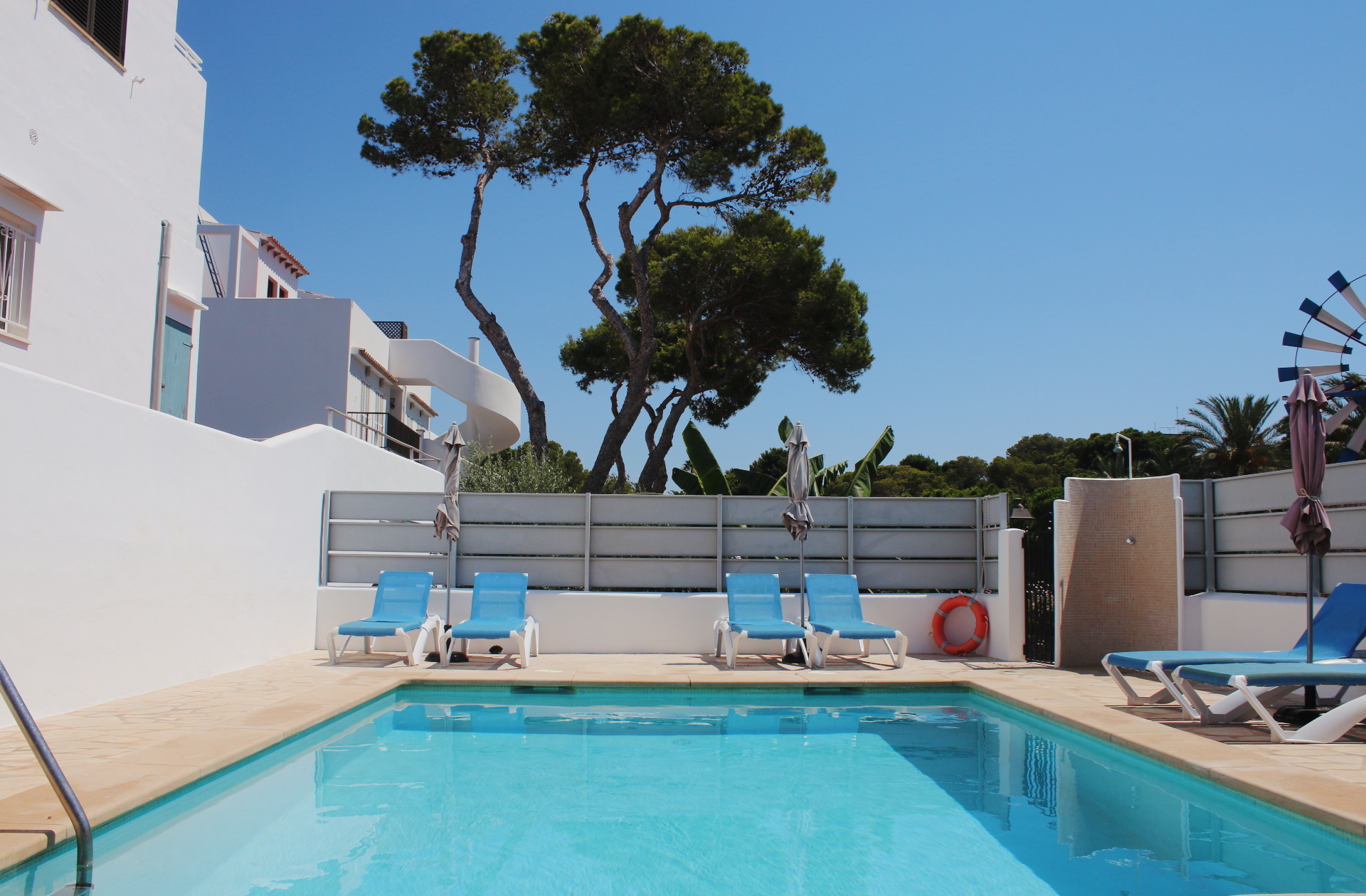 Pool deck framed by tall Mediterranean pines under a clear blue sky