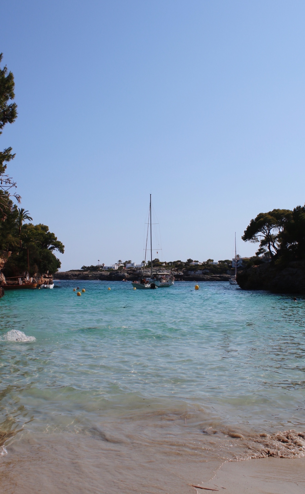 Turquoise water and a moored sailboat at Cala d'Or, framed by pine trees