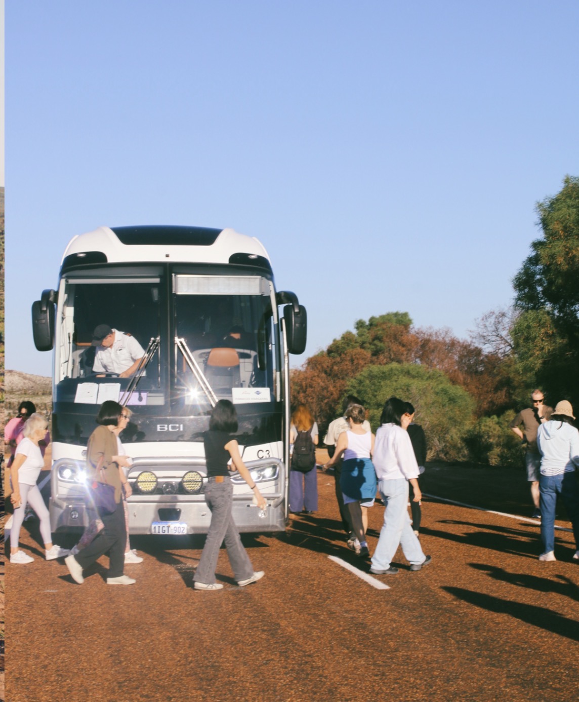 Guests arriving by tour coach
